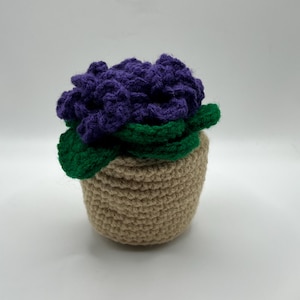 May include: A crocheted purple flower in a brown pot with green leaves.