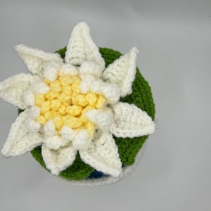Water lily  // crochet flowers // amigurumi // play flowers