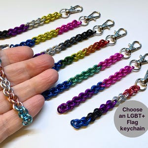 May include: A set of eight colorful chain keychains, each featuring a different color combination. The keychains are made of metal and have a silver-toned lobster clasp. The keychains are arranged in a row on a white surface. Choose an LGBT+ Flag keychain.