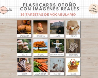 36 Flashcards Vocabulario Otoño, Imágenes Reales, Imprimible Niños Español, Homeschooling, Descarga digital, Actividades Educacion