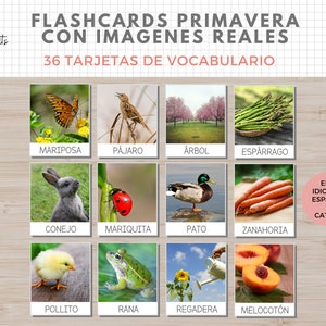 36 Flashcards Vocabulario Primavera, Imágenes Reales, Imprimible Niños Español i Català, Homeschooling, Descarga digital, Educacion