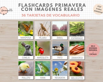 36 Flashcards Vocabulario Primavera, Imágenes Reales, Imprimible Niños Español i Català, Homeschooling, Descarga digital, Educacion