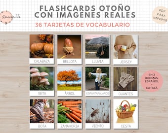 36 Flashcards Vocabulario Otoño, Imágenes Reales, Imprimible Niños Español i Català, Homeschooling, Descarga digital, Actividades Educacion