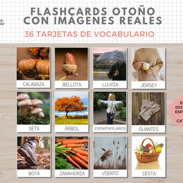 36 Flashcards Vocabulario Otoño, Imágenes Reales, Imprimible Niños Español i Català, Homeschooling, Descarga digital, Actividades Educacion