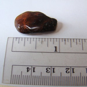 May include: A dark amber-coloured, irregularly shaped stone measuring approximately 2.5 cm in length. The stone is resting on a white surface next to a ruler.