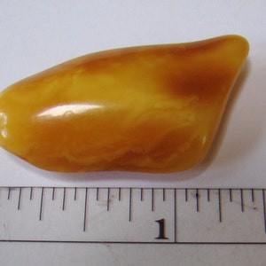 Freeform Large Natural Baltic Amber Multi Colored