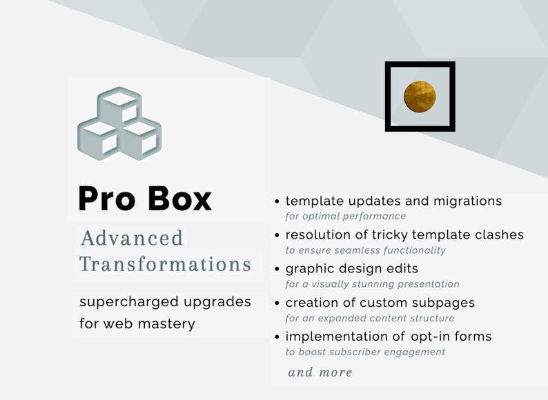May include: A graphic with the text "Pro Box Advanced Transformations" and a list of services including template updates, graphic design edits, and custom subpages. A gold circle is in a black square.