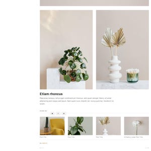 May include: A minimalist blog layout featuring three black spoons, a potted plant, a white vase with dried leaves, and a small glass container with white flowers. The design has a neutral color palette and clean lines.