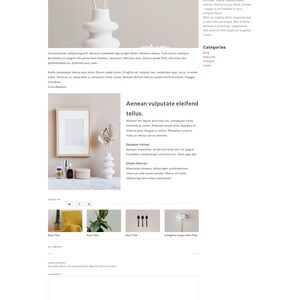 May include: A minimalist website design featuring a white vase with dried palm leaves. The text "BOX №24" and "POST TITLE" are visible. The design includes a blog section with categories like "featured" and "travel".