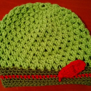 Peter Pan Inspired Hat