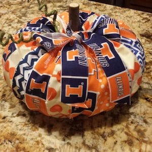 Könnte beinhalten: Ein Stoffkürbis, der mit orangefarbenem, blauem und weißem Stoff verziert ist und den Text "Illinois" und "Fighting Illini" trägt.