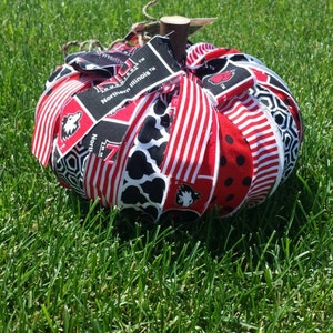 May include: A red, white, and black fabric pumpkin with the words "Northern Illinois" and "Huskies" on it.