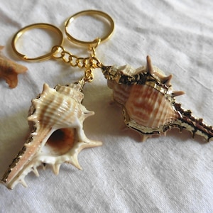 May include: Gold-tone keychain featuring two seashells. The shells are a light brown colour with a gold-tone finish. The keychain is made of metal and has a lobster clasp.