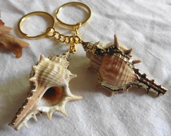 Mermaidcore Sea Goddess Shell Keychain, Murex Specimen, Cabinet of Curiosities, Mermaid, Summer, Beach, conchology, Malacology, Conch, boho
