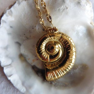 Gold Nautilus Shell Necklace, Boho necklace, Mermaid lover, Mermaidcore, conch necklace, Mermaid necklace, Sea witch, sea Goddess, Siren