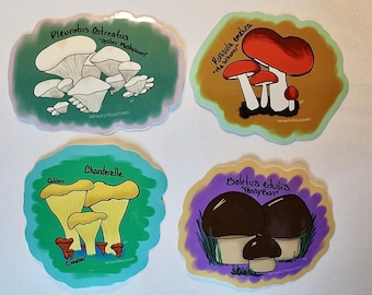 Vinyl Mushroom Sticker Set: Cottagecore Mycology Art