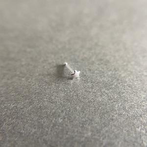 May include: A silver nose ring with a small star charm.
