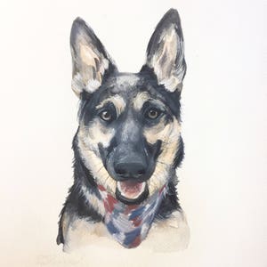 May include: Watercolor painting of a German Shepherd dog wearing a red, white, and blue bandana. The dog is looking directly at the viewer with a happy expression.