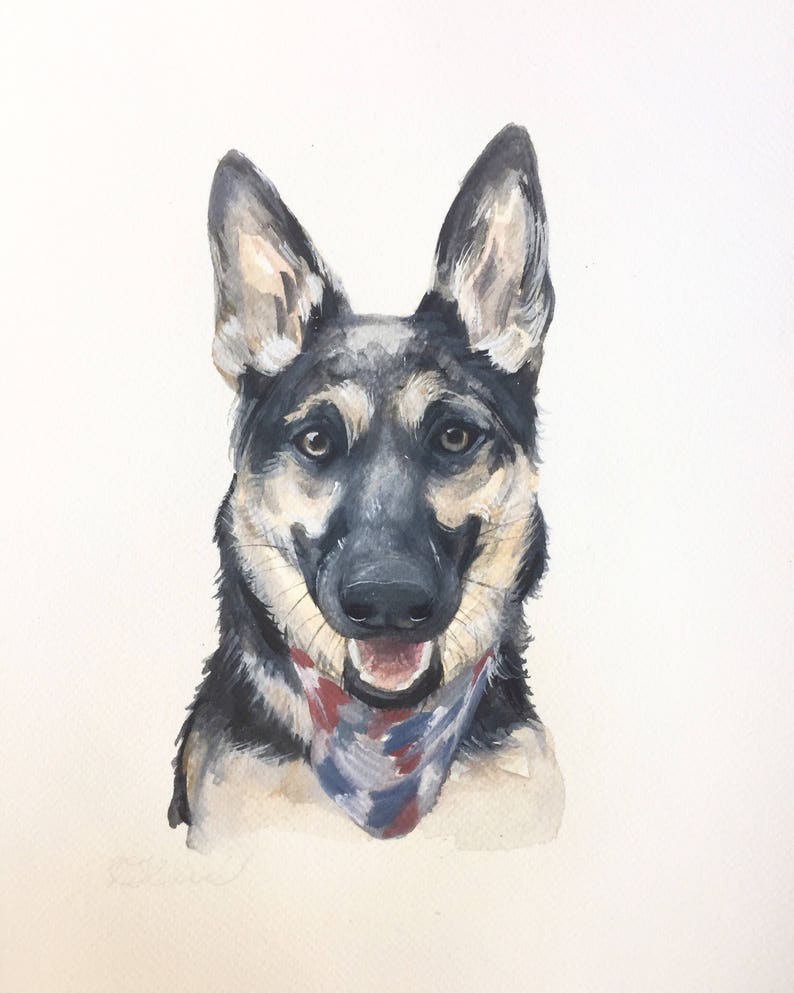 May include: Watercolor painting of a German Shepherd dog wearing a red, white, and blue bandana. The dog is looking directly at the viewer with a happy expression.