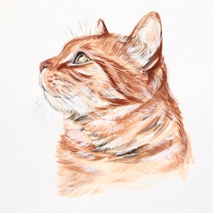 May include: Watercolor painting of a ginger cat's head in profile, looking upwards. The cat has detailed fur with shades of orange, brown, and white. The background is plain white, highlighting the cat's features and the artist's brushstrokes.