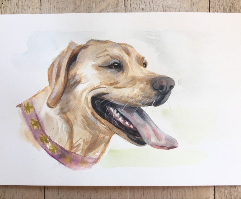 Handpainted pet portrait. pet painting from photo, specially made by me for you. Perfect as a pet loss gift. image 7