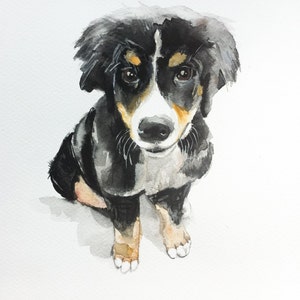 pet wall art, dog painting, GIFT for DOG LOVER, dog art, dog portrait, custom pet painting, animal painting, dog watercolour,dog portrait image 6