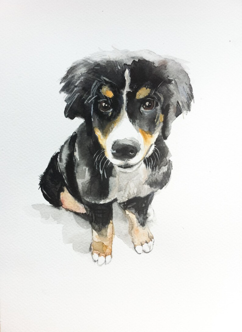 Custom Pet Painting Cat Portrait Gift For Dog Lover Dog Watercolour,Dog Portrait Dog Dog Portrait Art Watercolor Dog Animal Painting Pet Portraits Art & Collectibles Sibawor.id