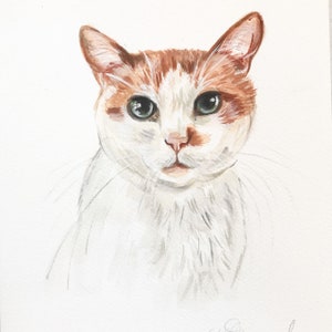 Handpainted pet portrait. pet painting from photo, specially made by me for you. Perfect as a pet loss gift. image 4