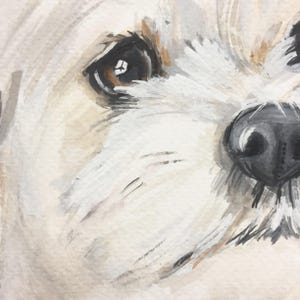 May include: Close-up of a white dog's face with brown eyes and a black nose. The dog's fur is painted in a soft, brushstroke style.