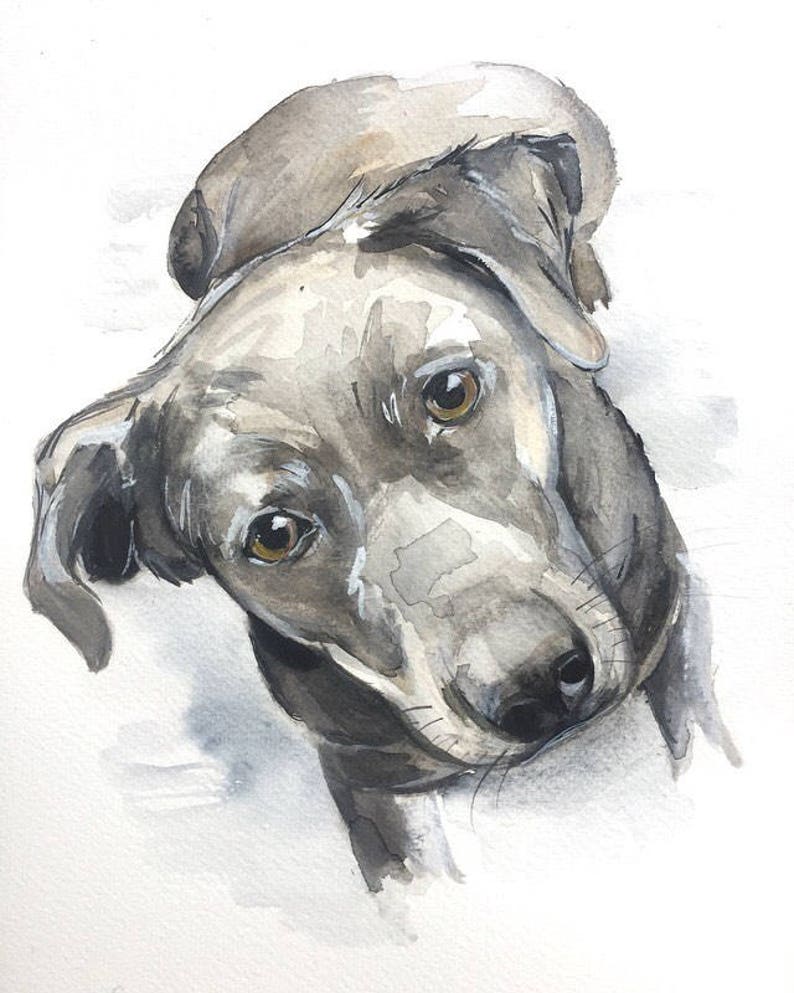 pet wall art, dog painting, GIFT for DOG LOVER, dog art, dog portrait, custom pet painting, animal painting, dog watercolour,dog portrait image 5