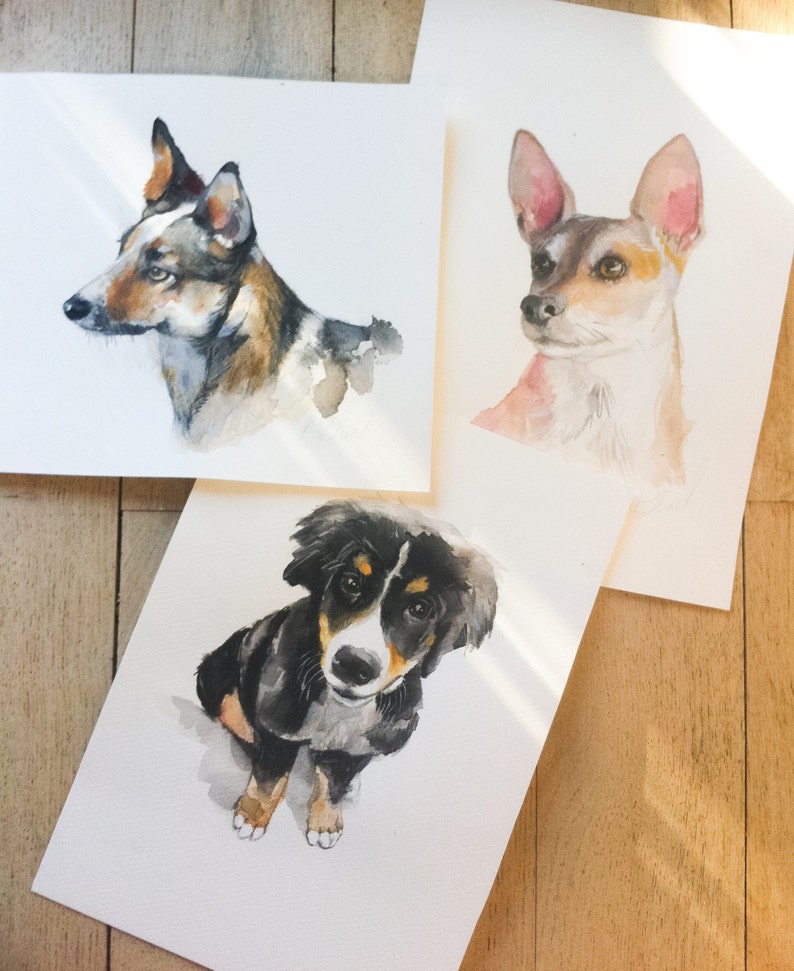 May include: Three watercolor paintings of dogs on white paper. The first painting is of a brown and black dog with a white chest. The second painting is of a brown and white dog with pink ears. The third painting is of a black and white dog with brown eyes.