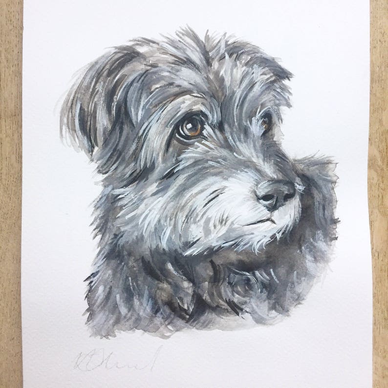 May include: Watercolor painting of a gray and white dog with brown eyes. The dog is looking to the right of the image. The painting is signed in the bottom left corner.