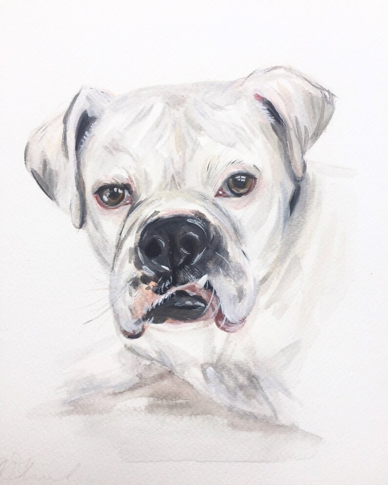 May include: Watercolor painting of a white boxer dog with brown eyes. The dog is looking directly at the viewer with its tongue slightly sticking out.
