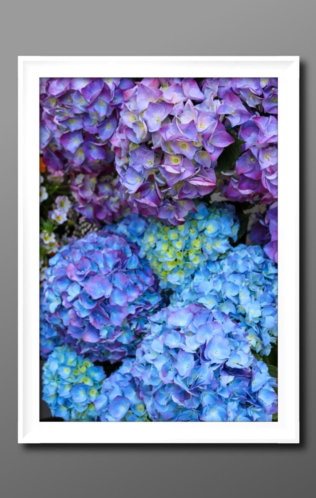 Vibrant Hydrangea Wall Art Print – Blue & Purple Spring Floral Decor ...