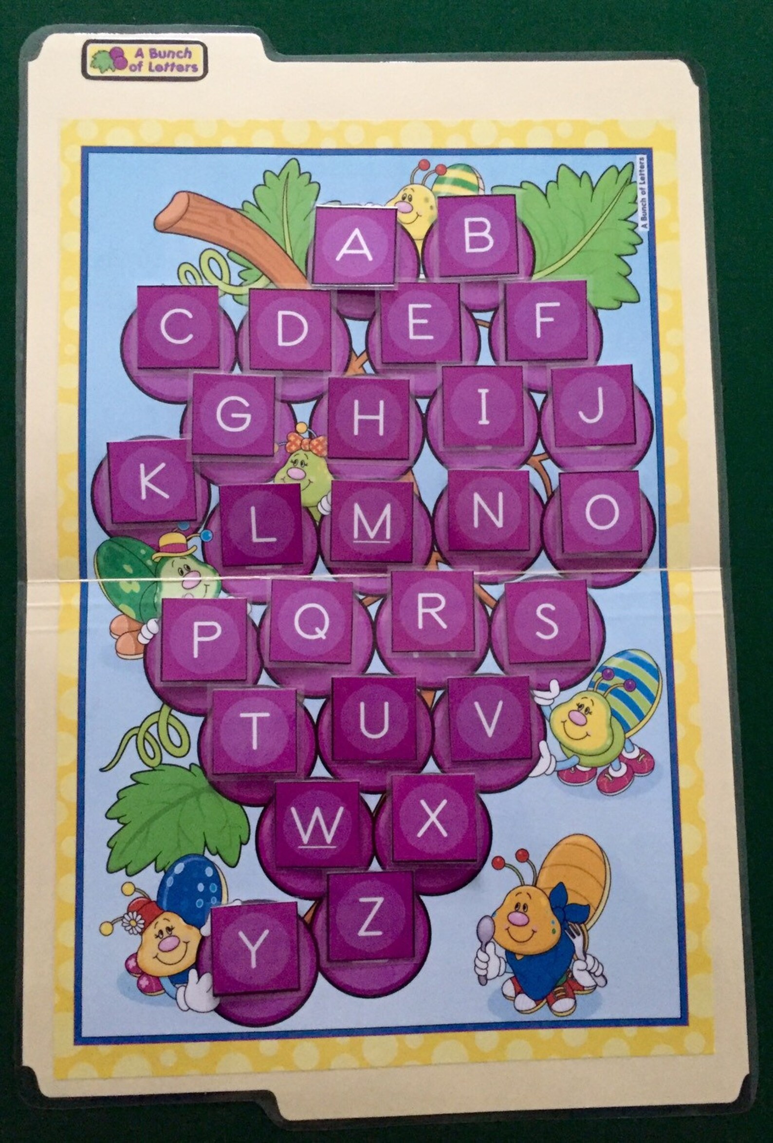 A BUNCH OF LETTERS Alphabet 26 letters File Folder Game Etsy