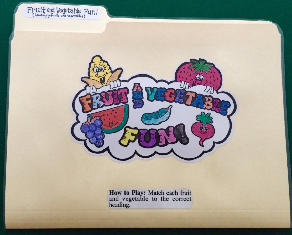 FRUIT and VEGETABLE FUN Food Groups File Folder Game Etsy