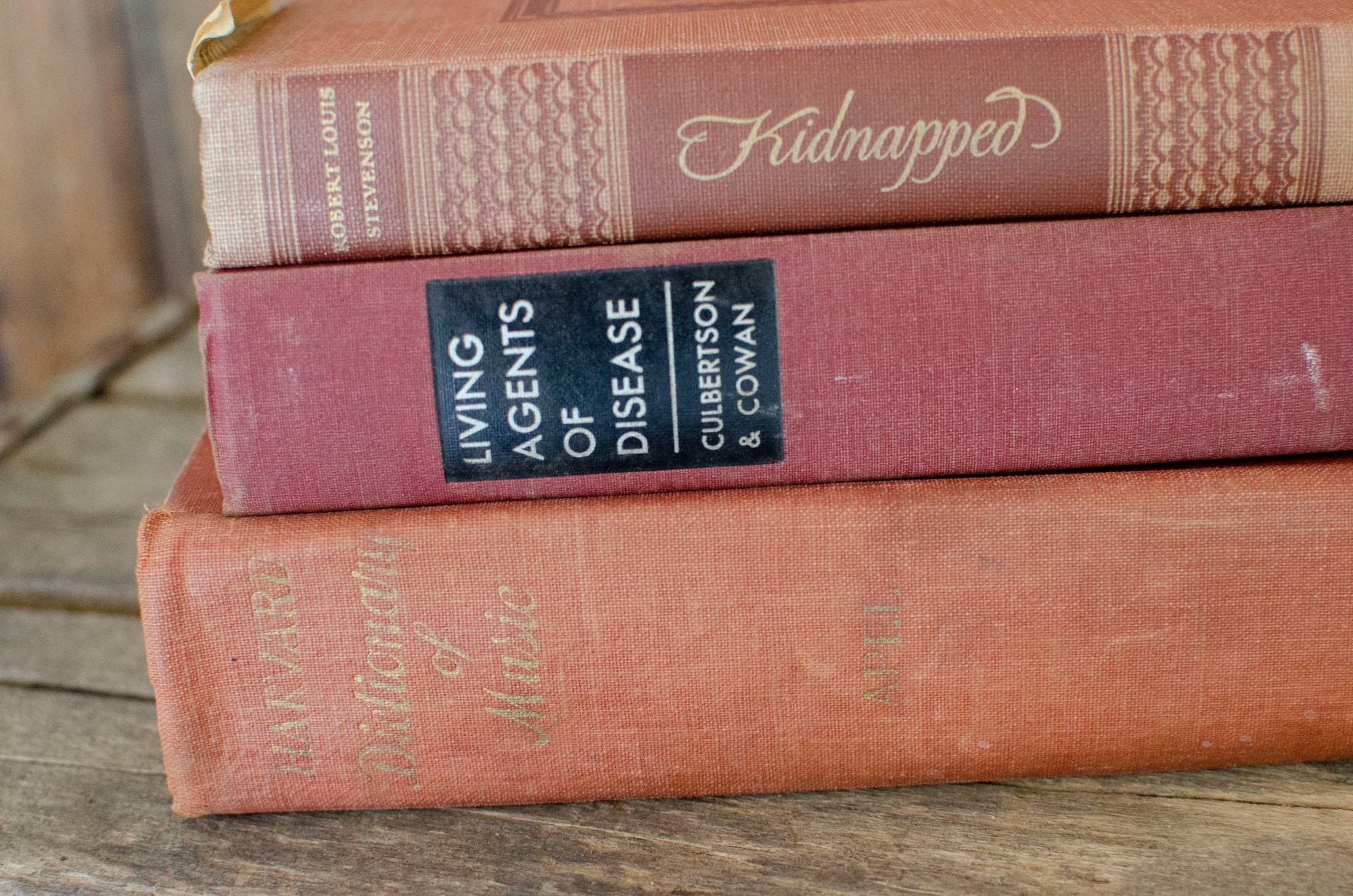 Vintage Book Bundle French Country Book Decor vintage books Etsy