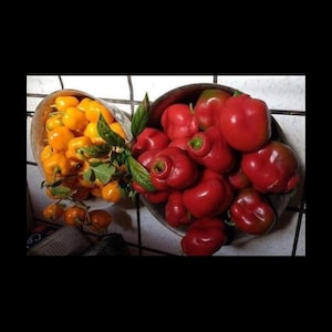 Manzano Rocoto Pepper Seeds: oranje en rood, erfstukvariëteit (24 zaden)
