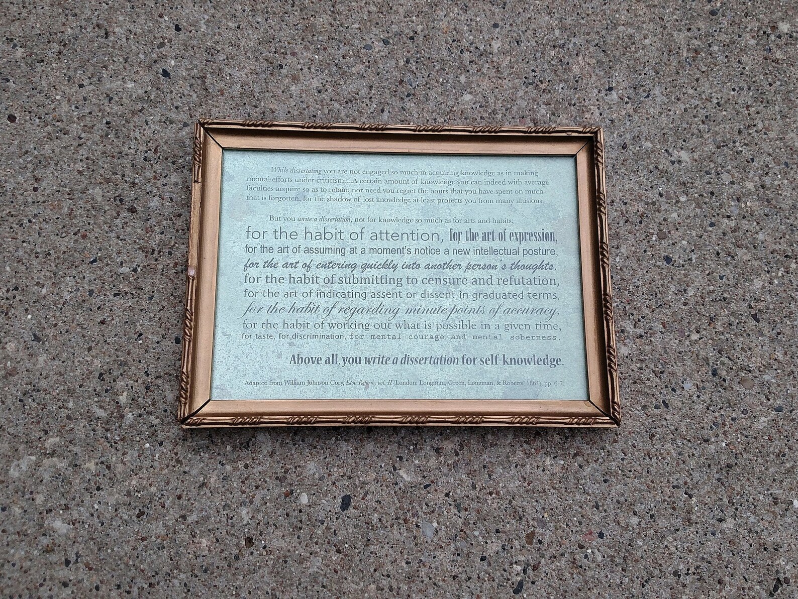 Dissertation on plaque 06 picture