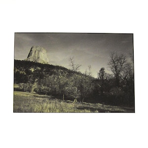 1987 Woodland Landscape Photograph Hand Colored Silver Print 8 x 10 Photograph Minnesota Woodland Photo