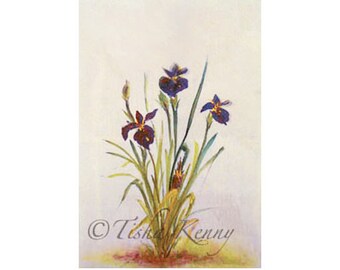 Water Irises  Asian Brush Painting on Rice Paper hand made card printed on fine linen paper.