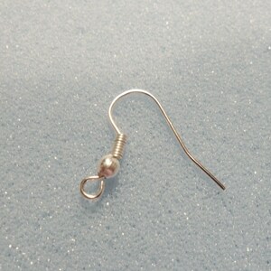 May include: Silver earring hook with a small ball at the top.