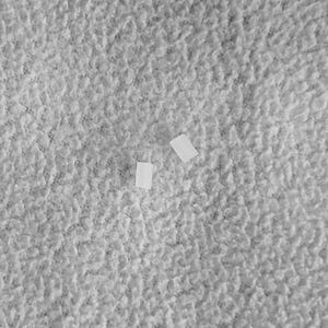 May include: Two white adhesive bandages on a gray textured surface.