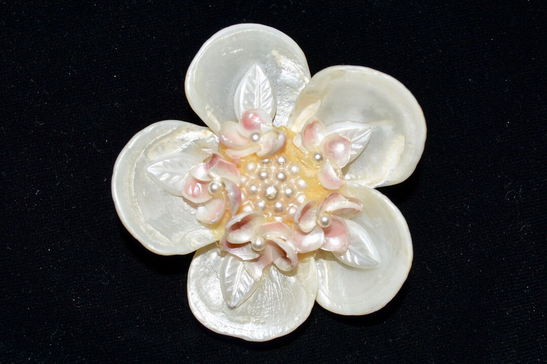 1960s Shell Flower Pin Brooch - Etsy