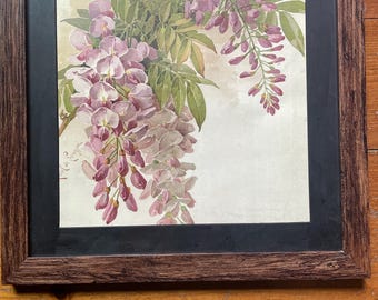 botanical print