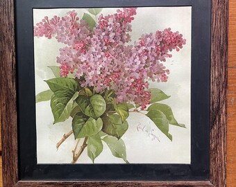 botanical print