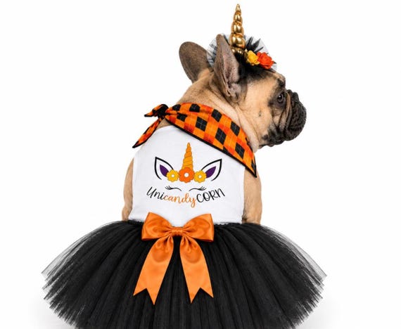 Halloween Unicorn Dog shirt | Dog Halloween Costume  | Halloween costume for big dogs | Unicorn Halloween Dog costume