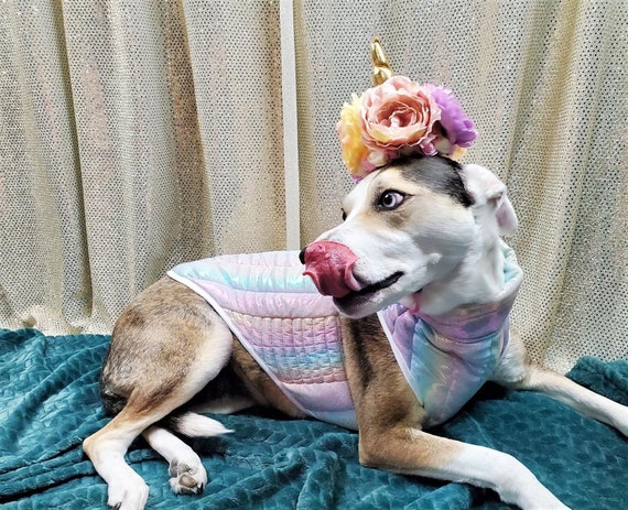 Unicorn clearance dog coat