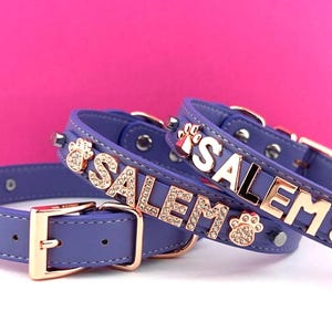 Collar de amatista / Collar personalizado para gatos / Collar con nombre para perros / Collar morado para perros / Collar con nombre para perros / XXS-XXL