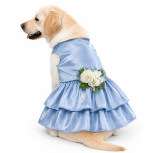 dress blues for dogs Blue Polka Dot Dog Dress with Matching Leash